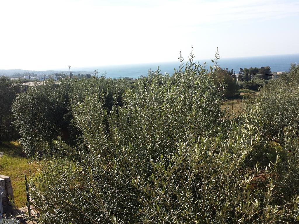 Villa Minteco Patu Bagian luar foto