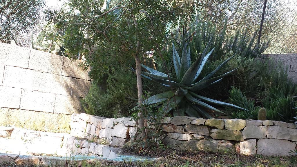 Villa Minteco Patu Bagian luar foto