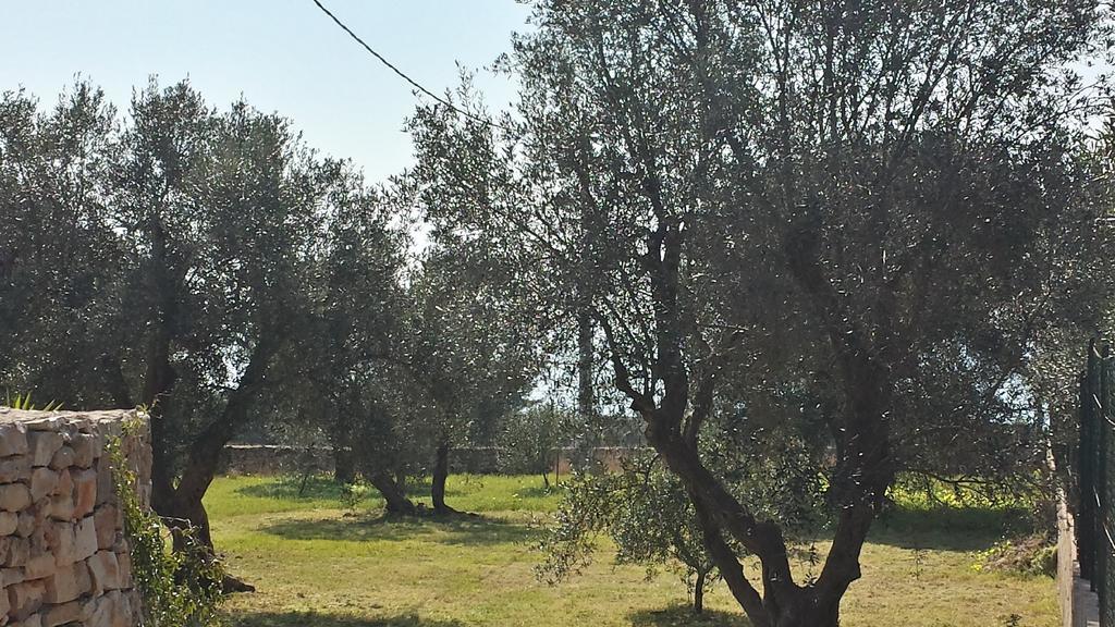 Villa Minteco Patu Bagian luar foto