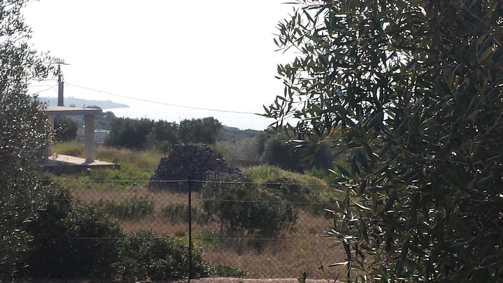 Villa Minteco Patu Bagian luar foto