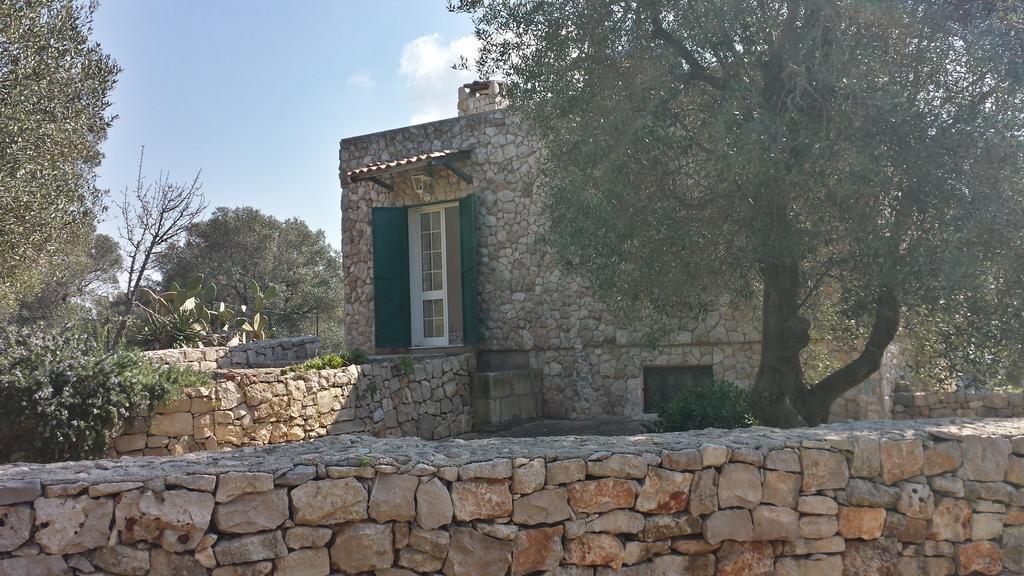 Villa Minteco Patu Bagian luar foto