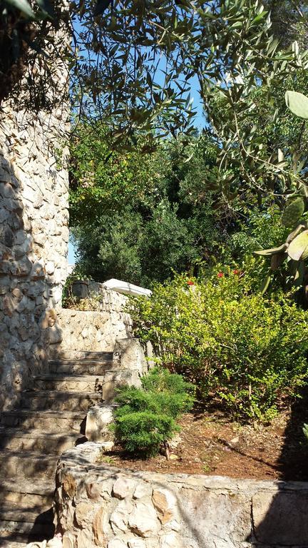 Villa Minteco Patu Bagian luar foto