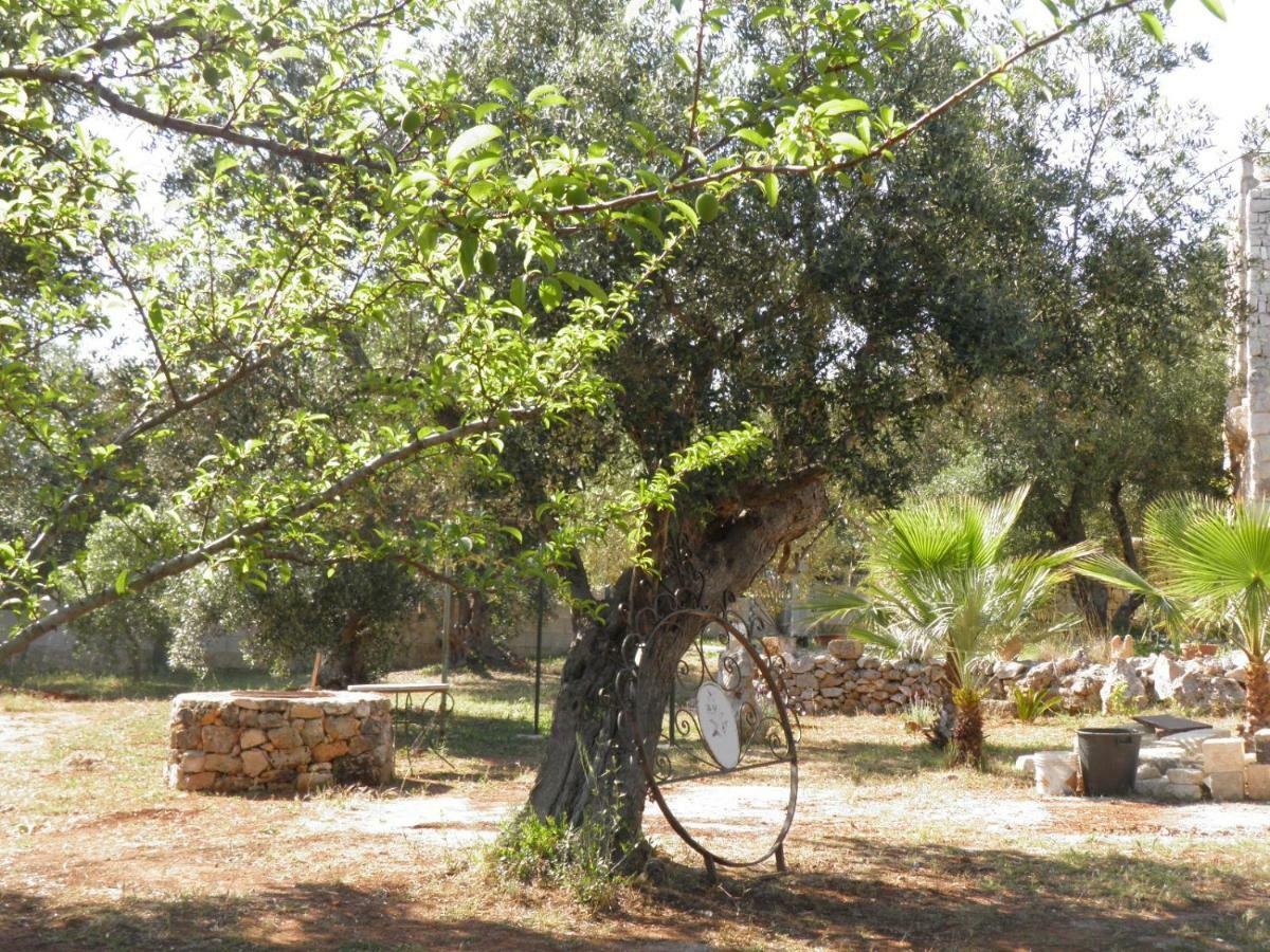 Villa Minteco Patu Bagian luar foto