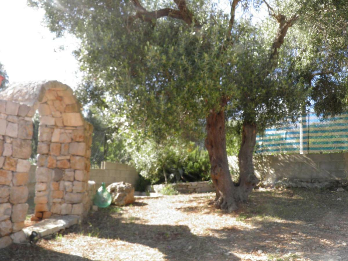 Villa Minteco Patu Bagian luar foto