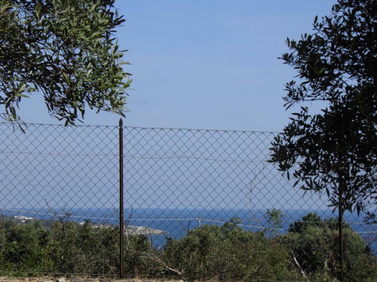 Villa Minteco Patu Bagian luar foto