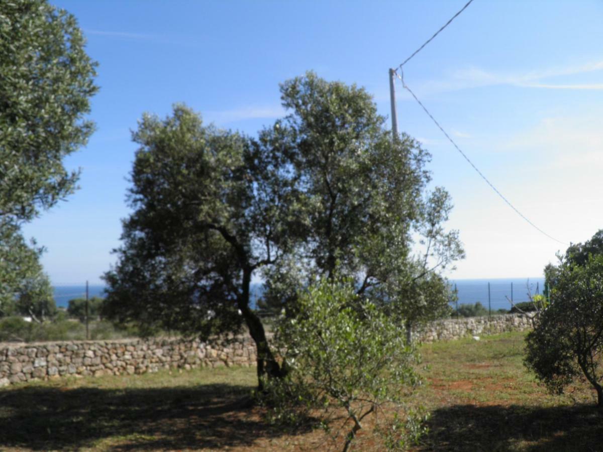 Villa Minteco Patu Bagian luar foto